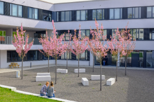 Foto eines Gebäudes der Universität Siegen