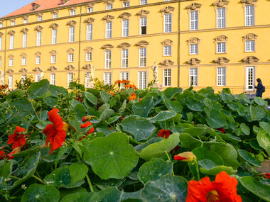 Schloss der Uni Osnabrück mit vordergründiger Bepflanzung